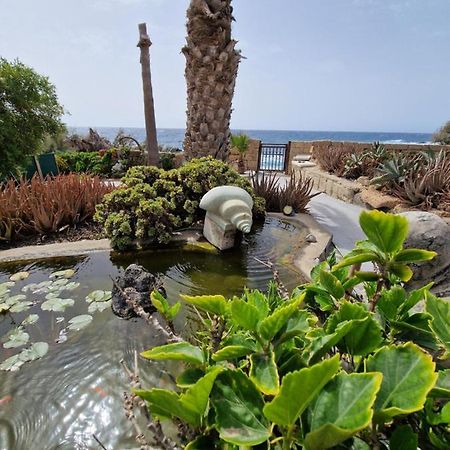 Little Paradise In El Medano 2 그라나딜라데아보나 외부 사진