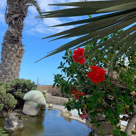 Little Paradise In El Medano 2 그라나딜라데아보나 외부 사진