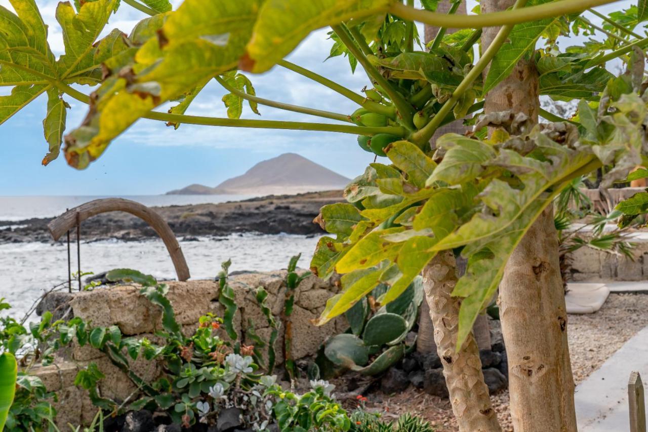 Little Paradise In El Medano 2 그라나딜라데아보나 외부 사진