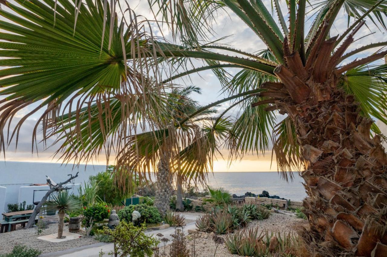 Little Paradise In El Medano 2 그라나딜라데아보나 외부 사진