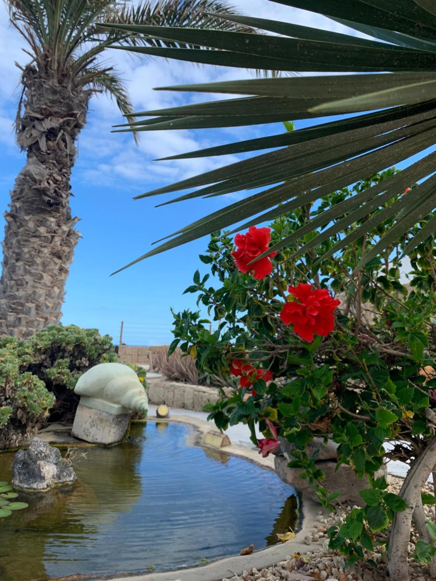 Little Paradise In El Medano 2 그라나딜라데아보나 외부 사진