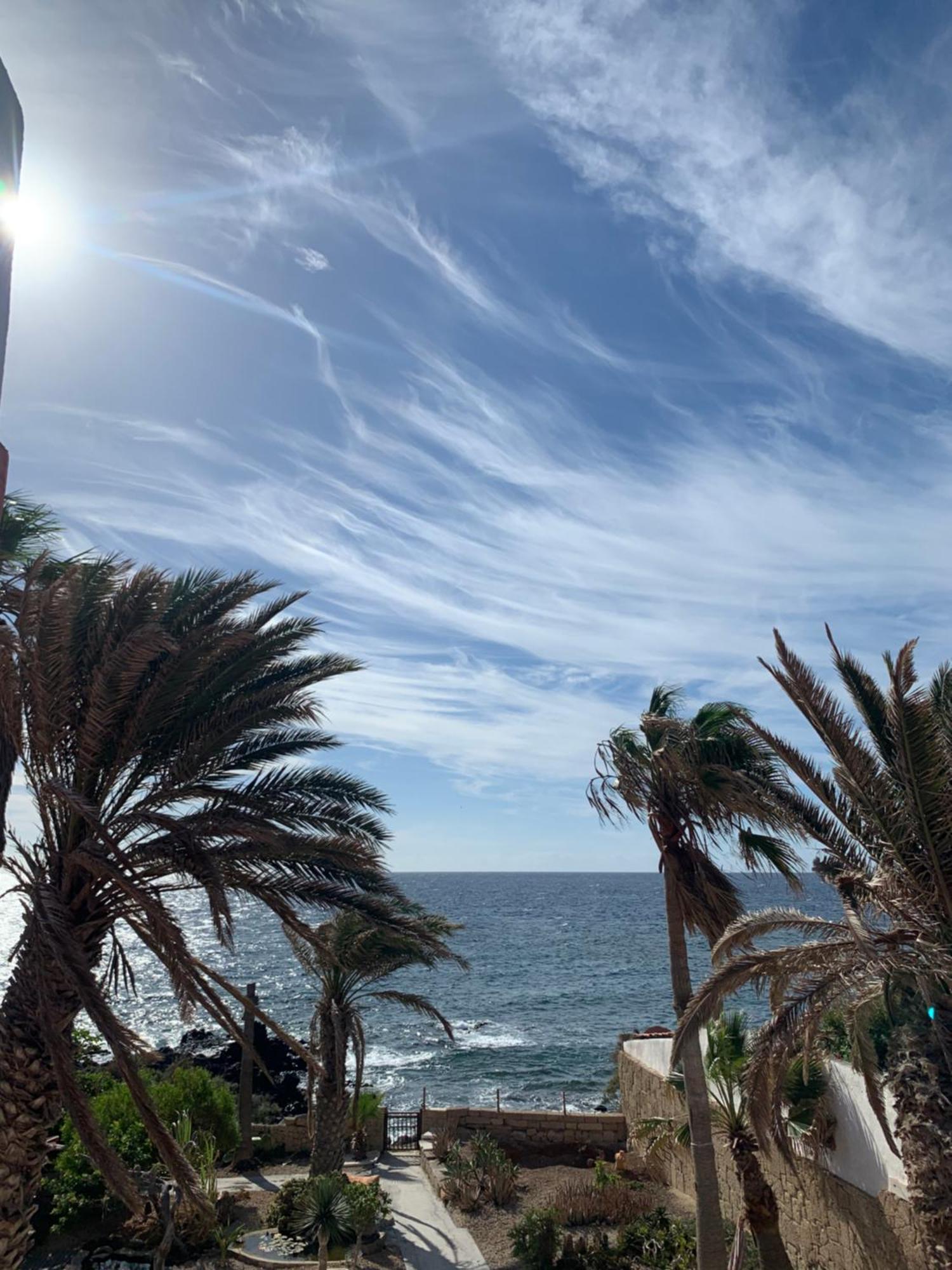 Little Paradise In El Medano 2 그라나딜라데아보나 외부 사진
